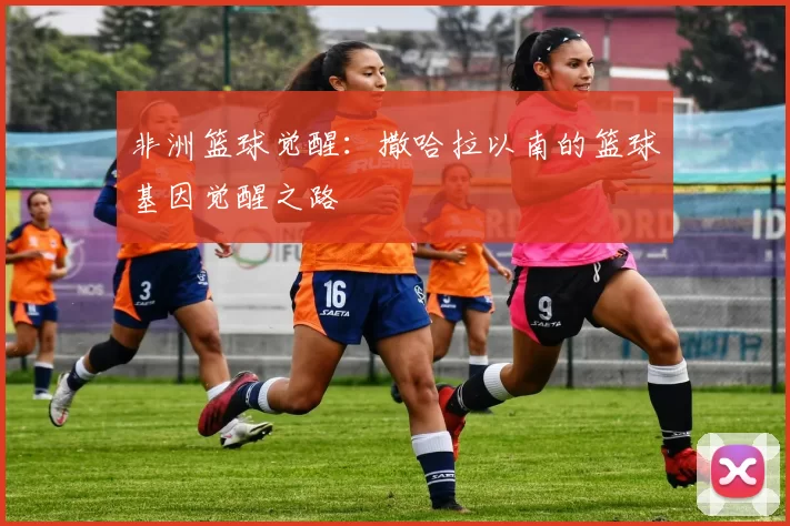 非洲篮球觉醒：撒哈拉以南的篮球基因觉醒之路