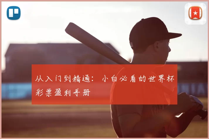 从入门到精通:小白必看的世界杯彩票盈利手册