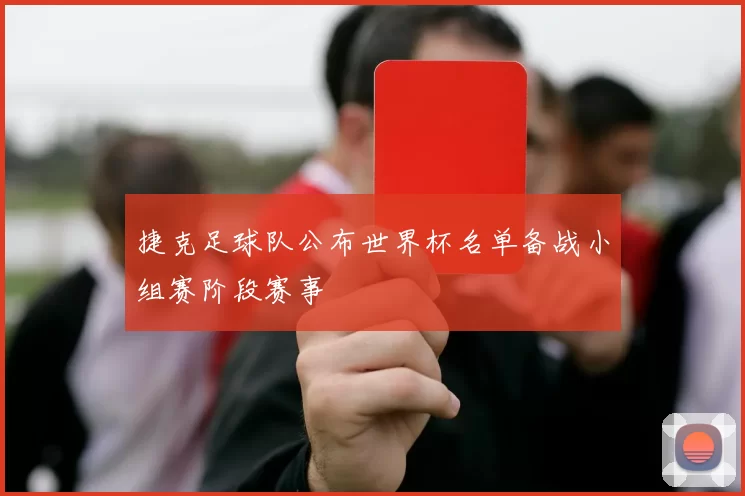捷克足球队公布世界杯名单备战小组赛阶段赛事