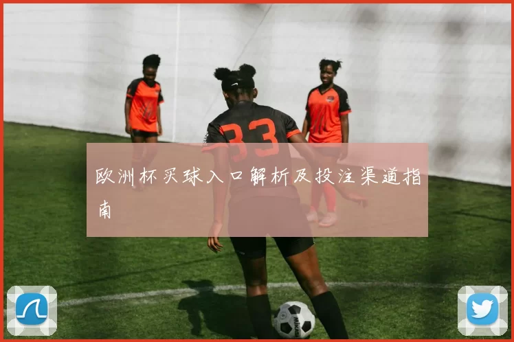 欧洲杯买球入口解析及投注渠道指南