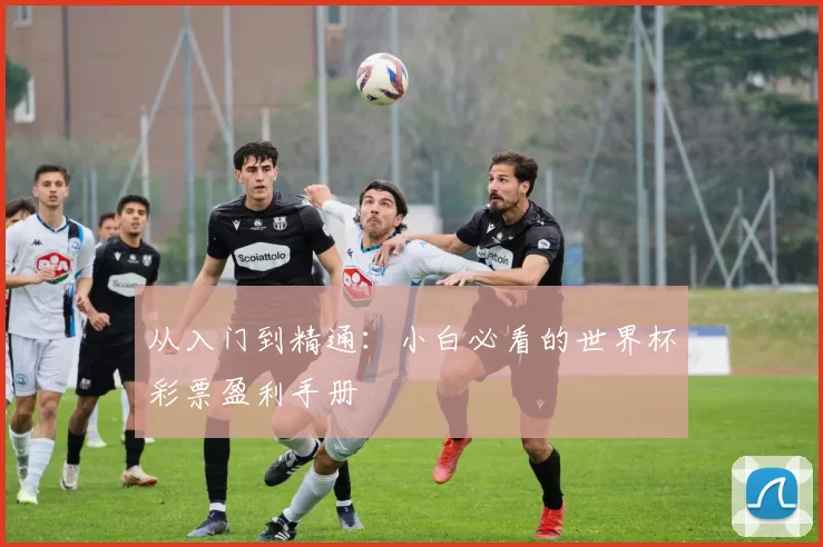 从入门到精通：小白必看的世界杯彩票盈利手册