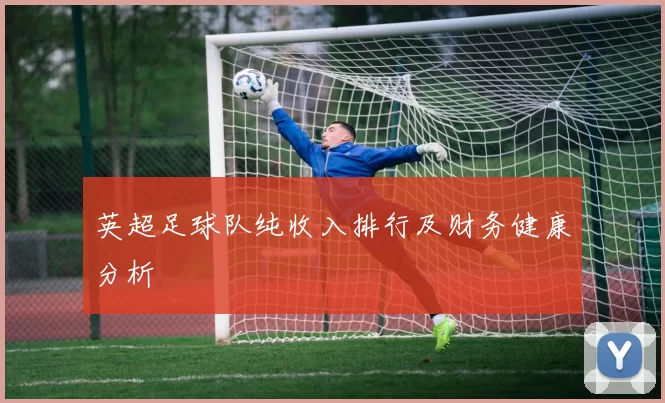 英超足球队纯收入排行及财务健康分析
