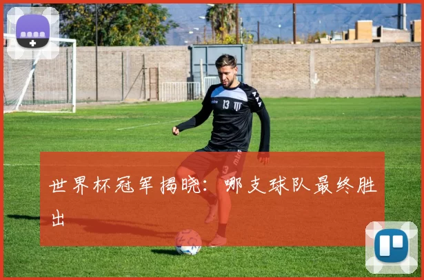 世界杯冠军揭晓:哪支球队最终胜出