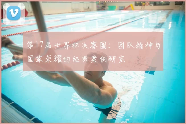 第17届世界杯决赛圈：团队精神与国家荣耀的经典案例研究