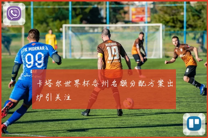 卡塔尔世界杯各州名额分配方案出炉引关注