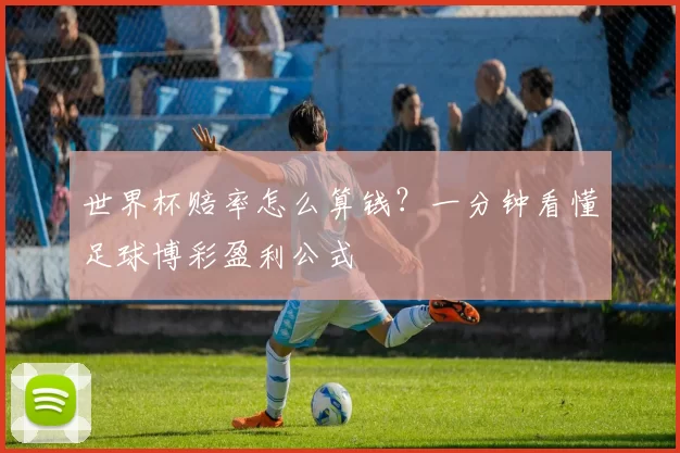 世界杯赔率怎么算钱？一分钟看懂足球博彩盈利公式