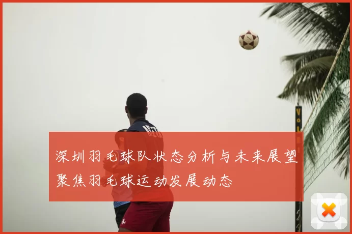 深圳羽毛球队状态分析与未来展望聚焦羽毛球运动发展动态