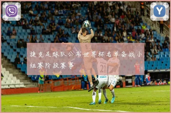 捷克足球队公布世界杯名单备战小组赛阶段赛事