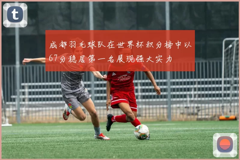 成都羽毛球队在世界杯积分榜中以67分稳居第一名展现强大实力