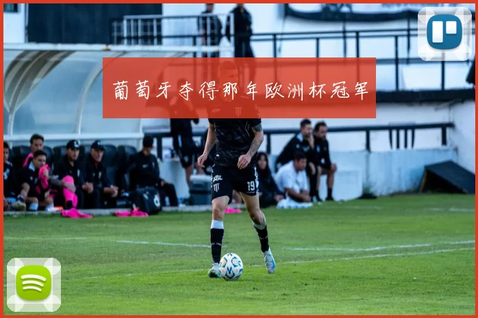 葡萄牙夺得那年欧洲杯冠军
