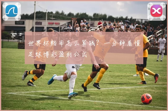 世界杯赔率怎么算钱?一分钟看懂足球博彩盈利公式