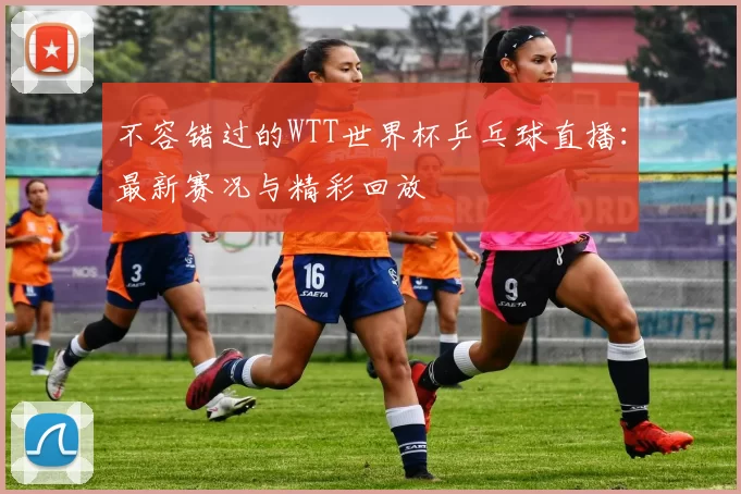 不容错过的WTT世界杯乒乓球直播：最新赛况与精彩回放