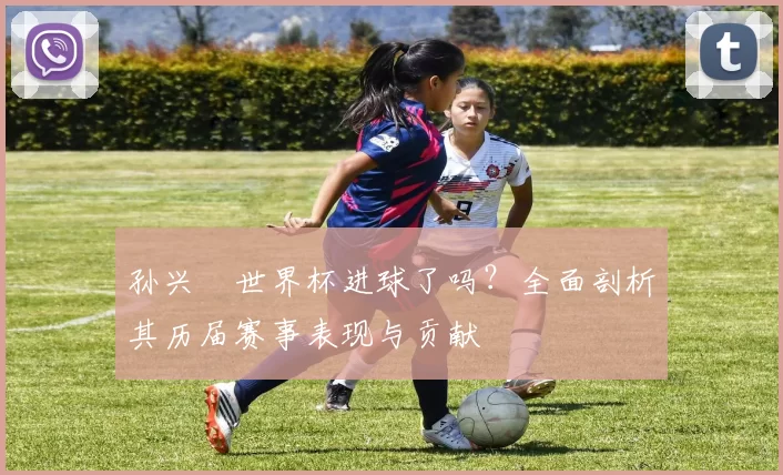 孙兴慜世界杯进球了吗?全面剖析其历届赛事表现与贡献