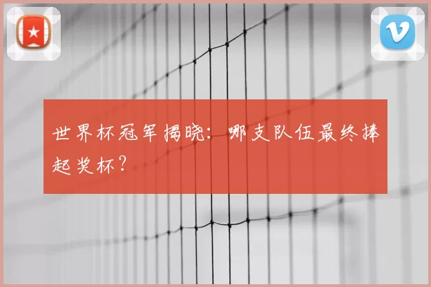 世界杯冠军揭晓:哪支队伍最终捧起奖杯?