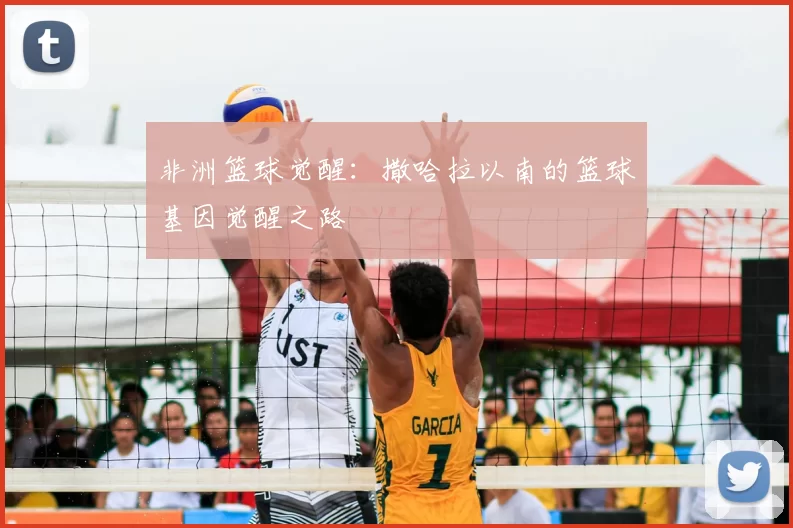 非洲篮球觉醒：撒哈拉以南的篮球基因觉醒之路