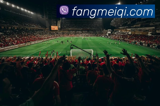 多媒体互动体验